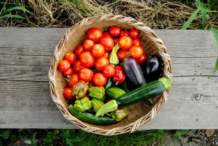 孕妇能吃芦荟和麝香会导致流产吗？